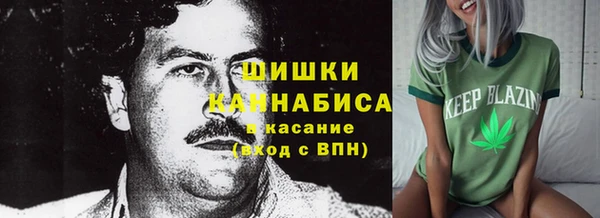 дурь Дмитриев