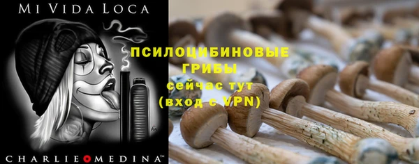 mdma Дмитров