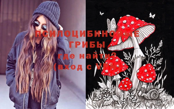 дурь Дмитриев