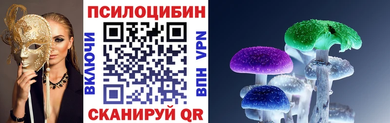 Купить  Новоузенск  Галлюциногенные грибы Psilocybe 