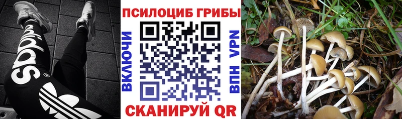 Галлюциногенные грибы GOLDEN TEACHER Новоузенск